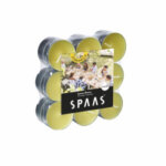Citronella Tea Lights (Pack of 180)